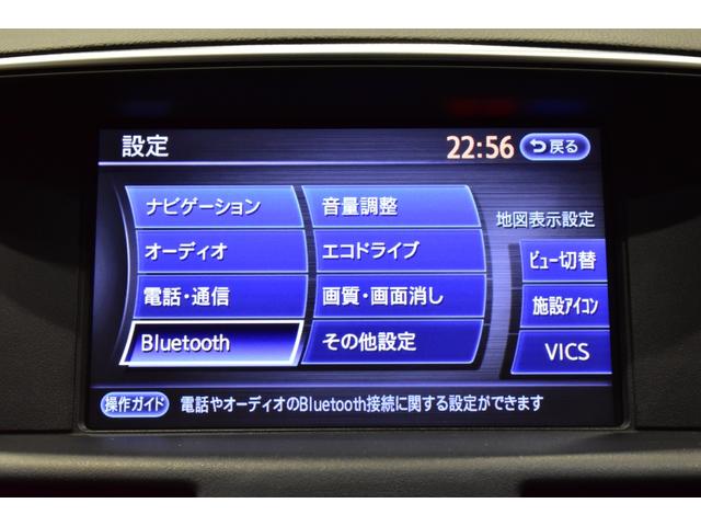 250VIP 黒革エアーシート フルエアロ ウインカミラー(15枚目)