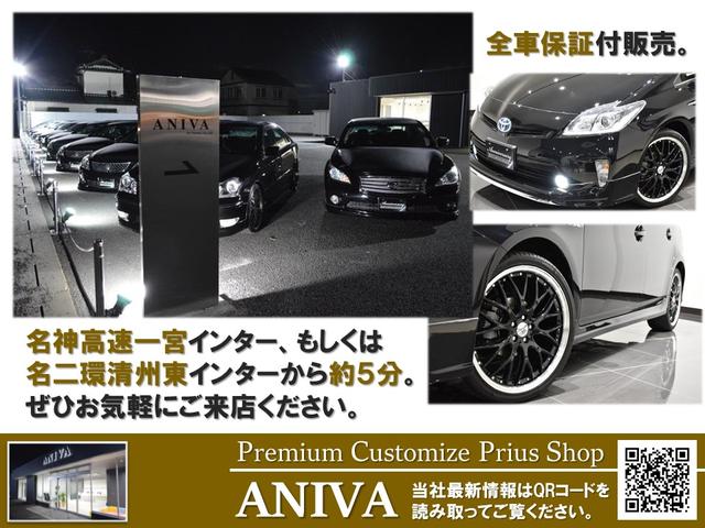 250VIP 黒革エアーシート フルエアロ ウインカミラー(28枚目)