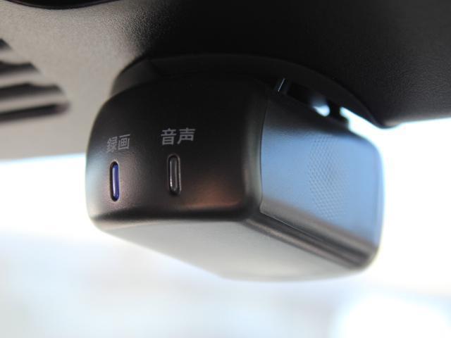 �����h�����R���Ă܂��I