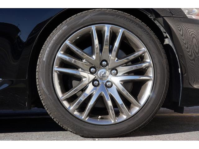 �[�Ԍ���C�����悭����蒸���܂��I�I