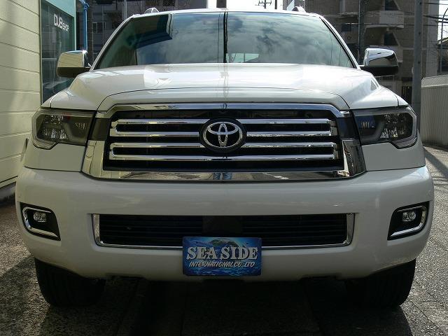プラチナム 4WD 2019yモデル LEDライト TSS(2枚目)