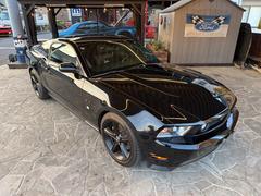 ޥ ֣ǣԡץߥࡡ륵ޥե顼 0204495A30251207W001 6