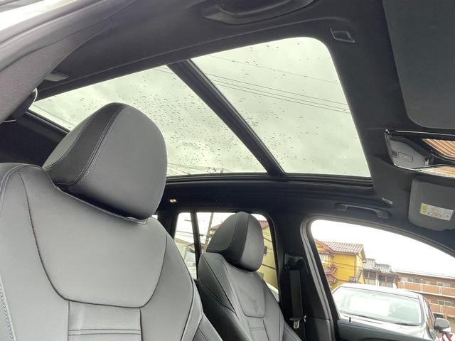 ｉＸ３ Ｍスポーツ　ＯＰエクステリアパッケージ　パノラマサンルーフ　アダプティブＬＥＤヘッドライト　ハーマンカードンサウンドスピーカー　２０インチＡＷ　ヴァ―ネスカ革スポーツシート　アラウンドビューカメラ（29枚目）