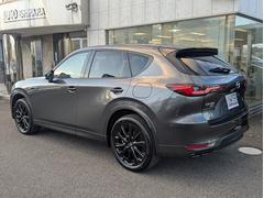 �ܥǥ����顼�ϥ��ץ���󥫥顼�Ρڥޥ����󥰥졼�ץ�ߥ���᥿��å��� 2