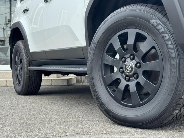 TOYOTA LAND CRUISER 250 VX