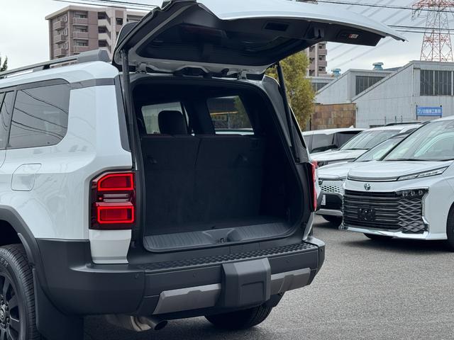 TOYOTA LAND CRUISER 250 VX