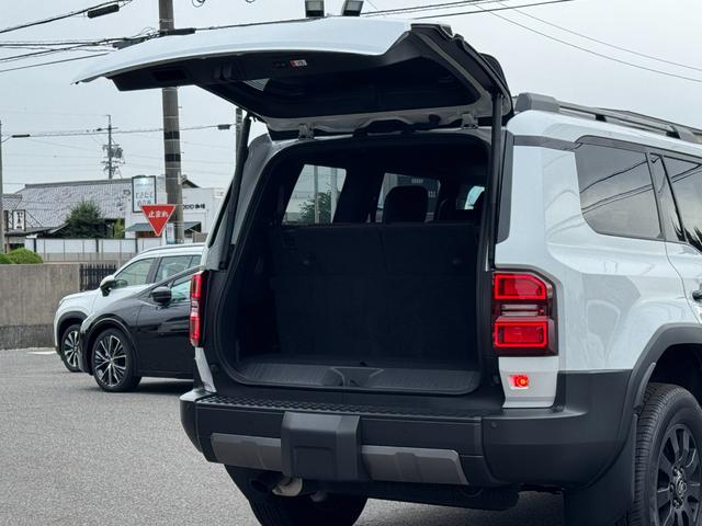 TOYOTA LAND CRUISER 250 VX