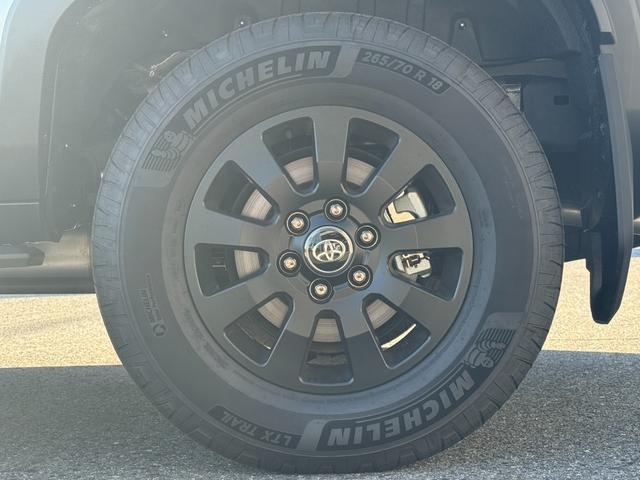 TOYOTA LAND CRUISER 250 VX