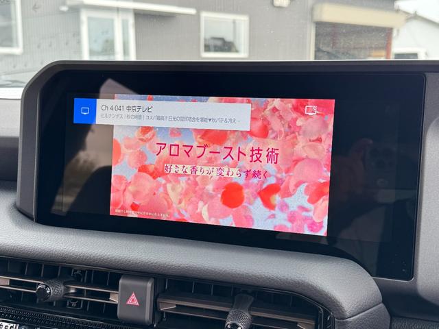 TOYOTA LAND CRUISER 250 VX