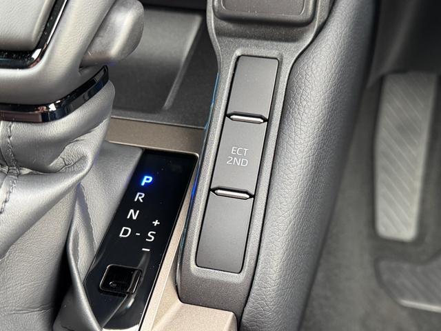 TOYOTA LAND CRUISER 250 VX