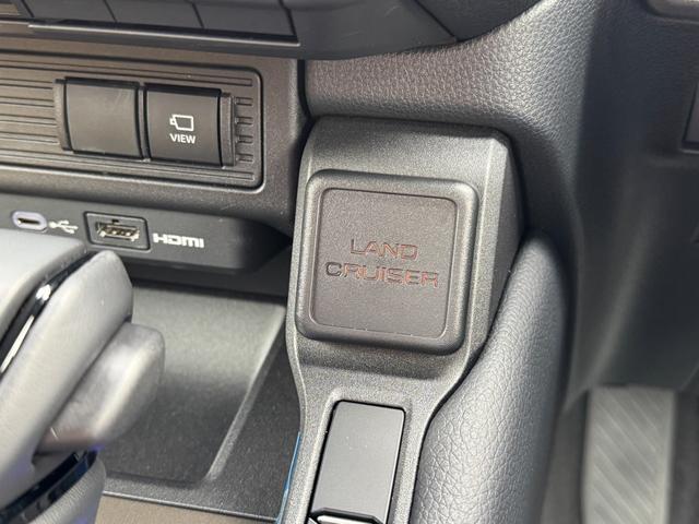 TOYOTA LAND CRUISER 250 VX