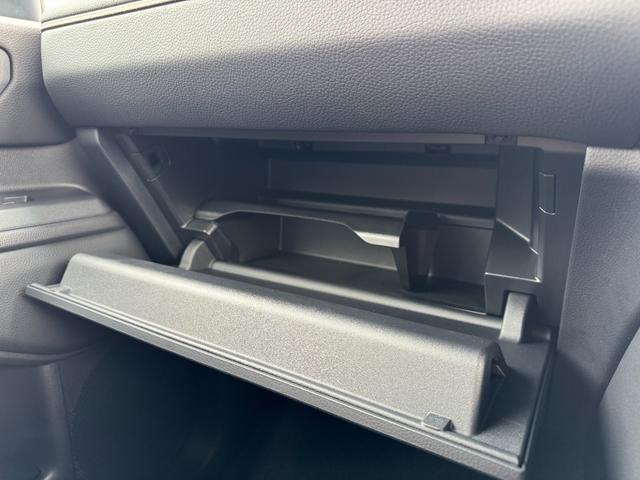 TOYOTA LAND CRUISER 250 VX