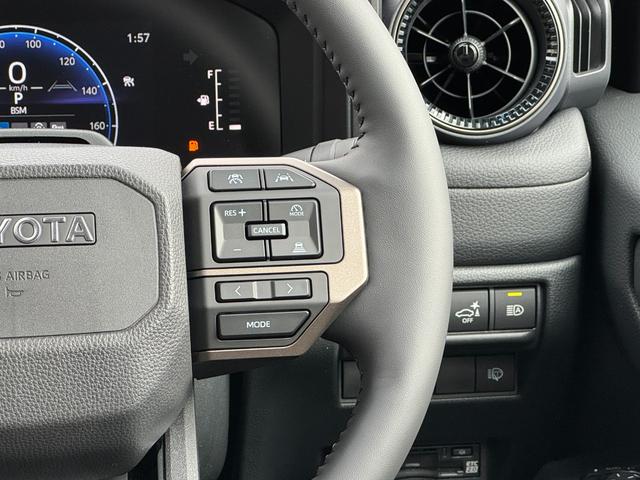 TOYOTA LAND CRUISER 250 VX