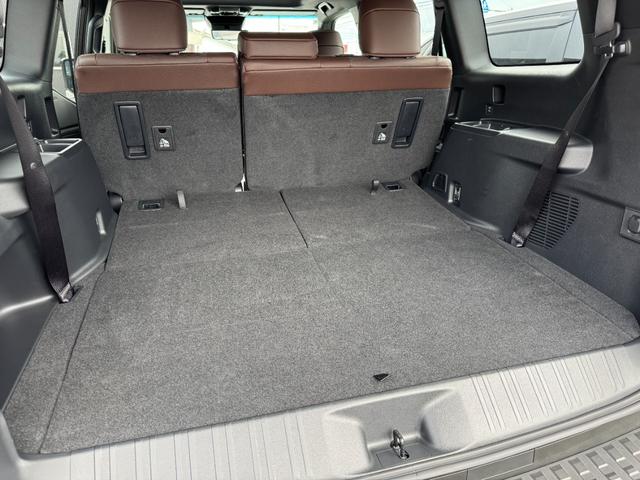 TOYOTA LAND CRUISER 250 VX