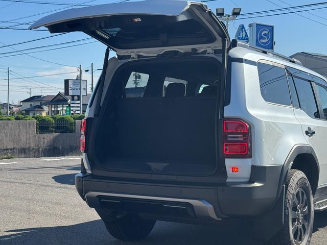 TOYOTA LAND CRUISER 250 ZX FIRST EDITION