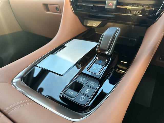 ヴェルファイアハイブリッド Z プレミア 【ブラウン内装!!デジタルインナーミラー!!】パノラミックビューモニター アドバンストパーク 左右独立ムーンルーフ 14インチディスプレイオーディオ 19インチアルミホイール 両側パワースライドドア!(48枚目)