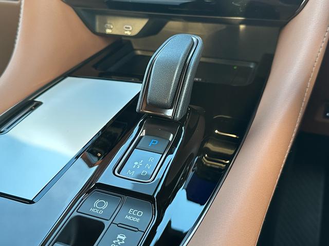 ヴェルファイアハイブリッド Z プレミア 【ブラウン内装!!デジタルインナーミラー!!】パノラミックビューモニター アドバンストパーク 左右独立ムーンルーフ 14インチディスプレイオーディオ 19インチアルミホイール 両側パワースライドドア!(49枚目)