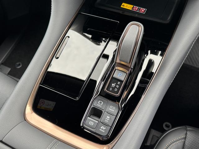 アルファードハイブリッド Ｚ　【左右独立ムーンルーフ！カラーヘッドアップディスプレイ！】アドバンスドパーク１４インチディスプレイオーディオ　１３．２インチフリップダウンモニター　寒冷地仕様　スペアタイヤ　ブラインドスポットモニター（51枚目）