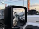 TOYOTA LAND CRUISER 250