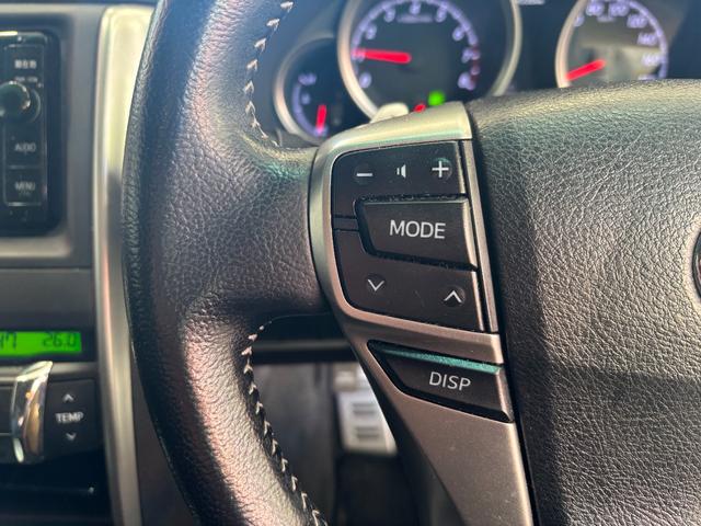 マークX 250G Sパッケージ ワンオーナー/プッシュスタート・スマートキー/純正ナビフルセグTV/バックカメラ/クルーズコントロール/ETC(25枚目)