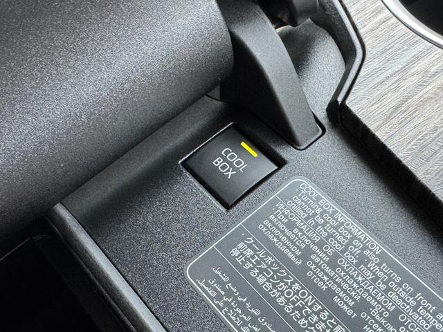 TOYOTA LAND CRUISER ZX