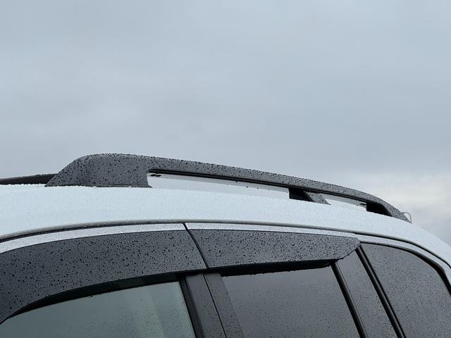 TOYOTA LAND CRUISER ZX