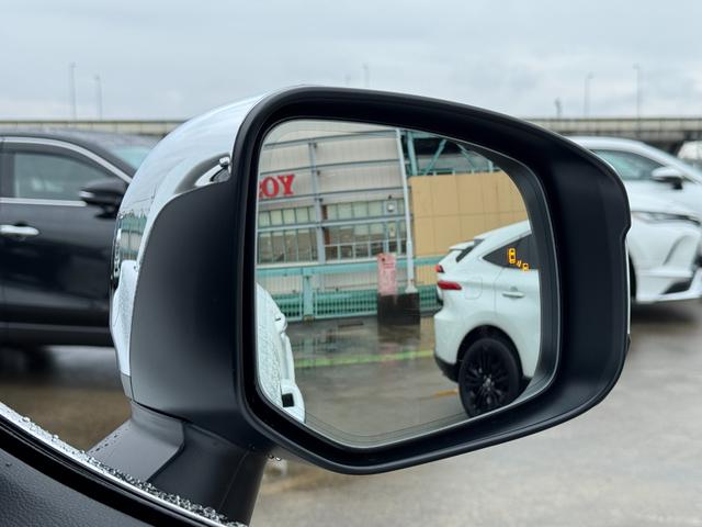 TOYOTA LAND CRUISER ZX