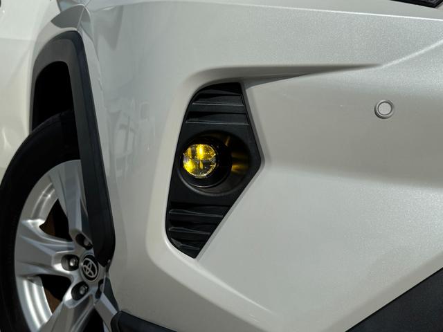 ＲＡＶ４ Ｘ　ＡＬＰＡＩＮナビ　フルセグＴＶ　バックカメラ　レーダクルーズコントロール　ＬＥＤルームランプ　ドライブレコーダー　イエローフォグ　純正１７インチアルミ　トヨタセーフティセンス　マルチインフォメーション（20枚目）