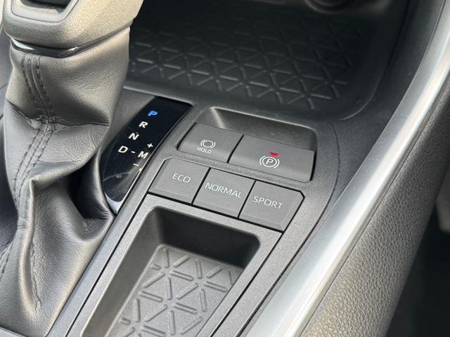 ＲＡＶ４ Ｘ　ＡＬＰＡＩＮナビ　フルセグＴＶ　バックカメラ　レーダクルーズコントロール　ＬＥＤルームランプ　ドライブレコーダー　イエローフォグ　純正１７インチアルミ　トヨタセーフティセンス　マルチインフォメーション（63枚目）