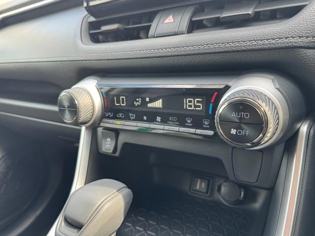 ＲＡＶ４ Ｘ　ＡＬＰＡＩＮナビ　フルセグＴＶ　バックカメラ　レーダクルーズコントロール　ＬＥＤルームランプ　ドライブレコーダー　イエローフォグ　純正１７インチアルミ　トヨタセーフティセンス　マルチインフォメーション（65枚目）