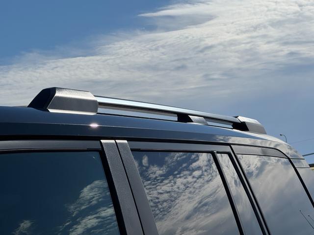 ランドクルーザー250 VX 特別限定ローン モデリスタプロテクターキット 12.3型コネクティッドナビ デジタルインナーミラー パノラミックビューモニター フルセグTV 寒冷地仕様 HDMI入力端子 前席シートヒーター&クーラー(10枚目)