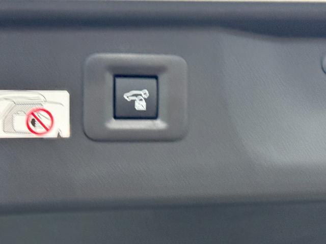 ヴェルファイアハイブリッド Z プレミア 茶内装 左右独立ムーンルーフ デジタルインナーミラー 純正14型DA 後席モニター パノラミックビューモニター ブラインドスポットモニター スペアタイヤ 置くだけ充電 パワーバックドア ETC2.0(44枚目)