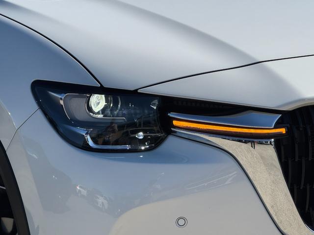 CX-60 XD Lパッケージ 全周囲カメラ レーダークルーズコントロール ブラインドスポットモニタリング シートメモリー パワーバックドア ドライブレコーダー ETC USBポート 置クダケ充電 アクセサリーコンセント 電動シート(19枚目)