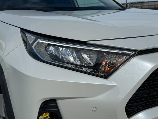 RAV4 X ALPAINナビ フルセグTV バックカメラ レーダクルーズコントロール LEDルームランプ ドライブレコーダー イエローフォグ 純正17インチアルミ トヨタセーフティセンス マルチインフォメーション(19枚目)