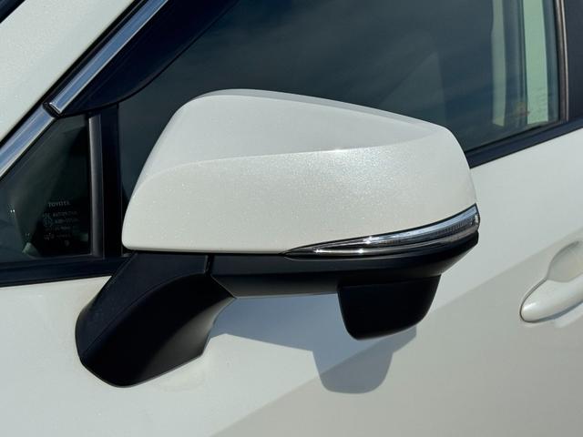 RAV4 X ALPAINナビ フルセグTV バックカメラ レーダクルーズコントロール LEDルームランプ ドライブレコーダー イエローフォグ 純正17インチアルミ トヨタセーフティセンス マルチインフォメーション(28枚目)