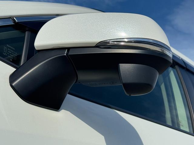 RAV4 X ALPAINナビ フルセグTV バックカメラ レーダクルーズコントロール LEDルームランプ ドライブレコーダー イエローフォグ 純正17インチアルミ トヨタセーフティセンス マルチインフォメーション(29枚目)