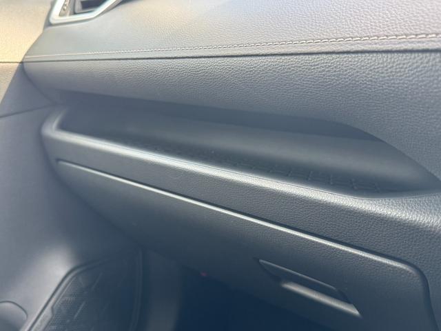 RAV4 X ALPAINナビ フルセグTV バックカメラ レーダクルーズコントロール LEDルームランプ ドライブレコーダー イエローフォグ 純正17インチアルミ トヨタセーフティセンス マルチインフォメーション(67枚目)