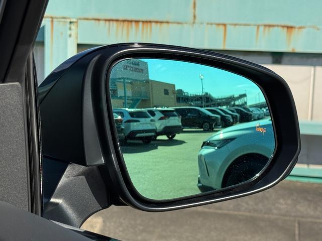 ヴェルファイアハイブリッド エグゼクティブラウンジ　茶内装　ＧＲエアロ　左右独立ルーフ　デジタルインナーミラー　純正１４型ＪＢＬサウンドナビ　リアエンターテイメントシステム　パノラミックビューモニター　ブラインドスポットモニタ　ＥＴＣ　ＨＤＭＩ入力端子（11枚目）