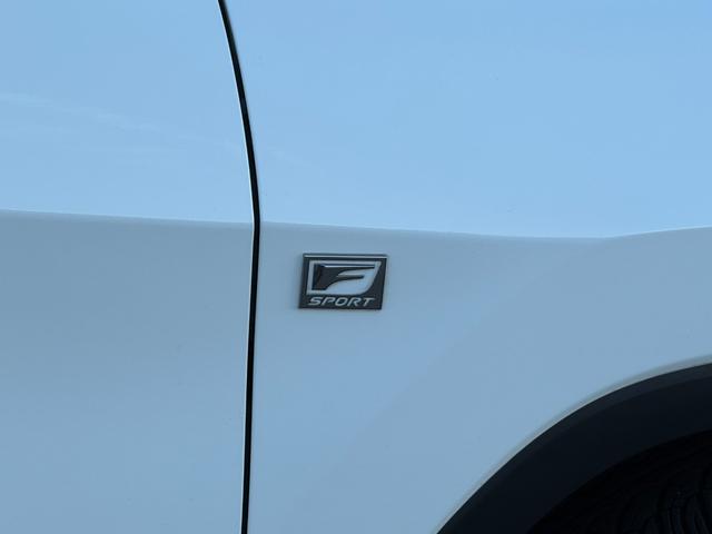 ＲＸ ＲＸ４５０ｈ　Ｆスポーツ　ＴＲＤエアロ＆４本出マフラー　全席シートヒーター　２列目パワーシート　赤革シート　パノラマルーフ　全周囲　ナビＴＶ　ＥＴＣ２．０　Ｐゲート　ＢＳＭ　ＨＵＤ　置く充電　ハンドルヒーター　ベンチレーション（34枚目）