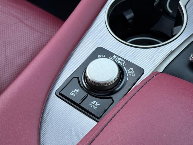 ＲＸ ＲＸ４５０ｈ　Ｆスポーツ　ＴＲＤエアロ＆４本出マフラー　全席シートヒーター　２列目パワーシート　赤革シート　パノラマルーフ　全周囲　ナビＴＶ　ＥＴＣ２．０　Ｐゲート　ＢＳＭ　ＨＵＤ　置く充電　ハンドルヒーター　ベンチレーション（64枚目）