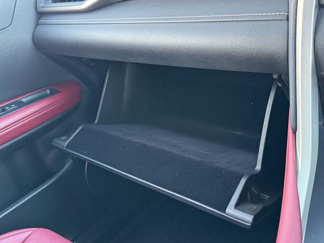 ＲＸ ＲＸ４５０ｈ　Ｆスポーツ　ＴＲＤエアロ＆４本出マフラー　全席シートヒーター　２列目パワーシート　赤革シート　パノラマルーフ　全周囲　ナビＴＶ　ＥＴＣ２．０　Ｐゲート　ＢＳＭ　ＨＵＤ　置く充電　ハンドルヒーター　ベンチレーション（68枚目）