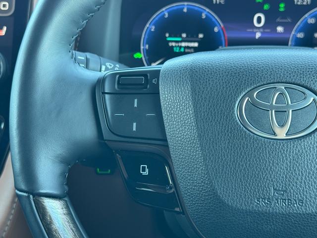 ヴェルファイアハイブリッド エグゼクティブラウンジ　左右独立ルーフ　デジタルインナーミラー　純正１４型ＪＢＬナビ　リヤエンターテイメント　フルセグＴＶ　パノラミックビューモニター　ブラインドスポットモニター　ＣＤ／ＤＶＤデッキ　ドラレコ　レーダー探知機（59枚目）