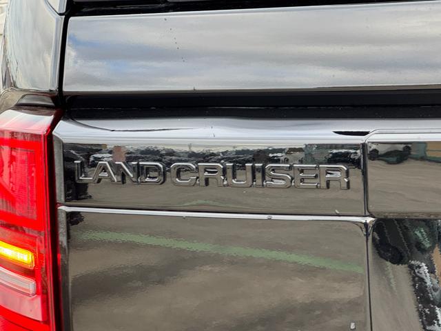 ランドクルーザー250 VX 特別限定ローン 丸目LEDヘッド サンルーフ デジタルインナーミラー 12.3型コネクティッドナビ パノラミックビューモニター フルセグTV 寒冷地仕様 HDMI入力端子 前席シートヒーター&クーラー(30枚目)