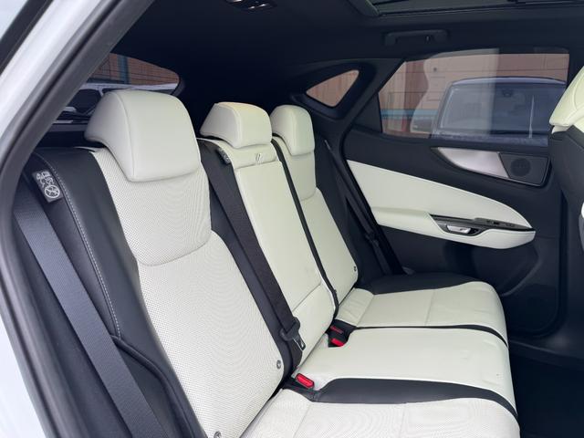 �y�f�I�t�@�N�^�[�z�I�v�V�����̃f�I�t�@�N�^�[�ł��I�_���Ҍ������ɂ��E�B���X�A�׋ہA�J�r�j�I�C�X�X�������ł��܂��I�ԓ��̐��ہA�h�L���H�ɂ��𗧂��܂��I�ԓ�����C����@�̂悤�Ȋ��ł���肢�������܂��I