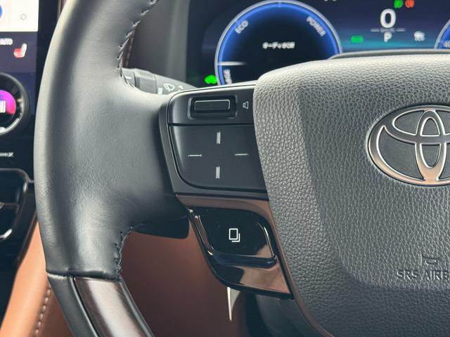 ヴェルファイアハイブリッド Ｚ　プレミア　左右独立ルーフ　デジタルインナーミラ　寒冷地仕様　ユニバーサルステップ　全周囲カメラ　三眼ＬＥＤヘッド　ＥＴＣ　ＢＳＭ　ＨＵＤ　レーダークルーズコントロール　パワーバックドア　１４型ナビ　フルセグＴＶ（55枚目）