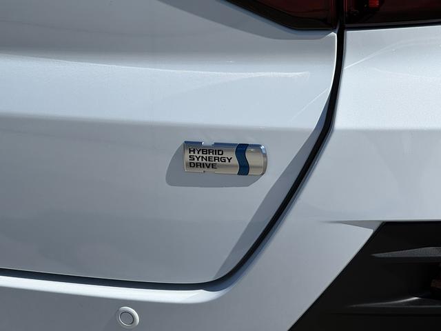 ライズ Ｚ　登録済み未使用車　全周囲カメラ　ブラインドスポットモニター　シートヒーター　ＨＤＭＩ入力端子　Ｂｌｕｅｔｏｏｔｈ　９型液晶ディスプレイオーディオ　純正１７ＡＷ　アダクティブハイビーム　レーダークルーズ（34枚目）