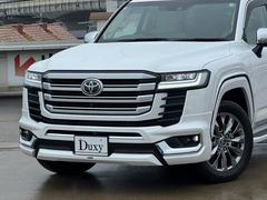 ɥ롼 ڣءǥꥹҥåСҥ󥿡£ 0204604A30251030W033 2