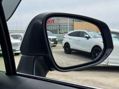 ڥ֥饤ɥݥåȥ˥ۥߥ顼˱ǤʤѤ˼ξ硢ɥߥ顼֤줿ޡäƴΤ餻ޤ¾ˤ֤¿줿ޤΤǡŹޤ 7