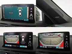 ӥå ţءͣԡ̣֣ԣţåܡ̵¥ޥե顼ꥢݥ顼 0204624A30251019W001 7