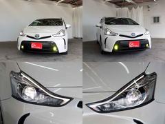 ץꥦե ӡʡʥӡ¥ 0204624A30251020W001 2